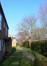Photograph of Ayelands neighbourhood