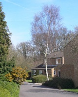 Photograph of Bowes Wood neighbourhood