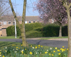 Photograph of the Caling Croft neighbourhood