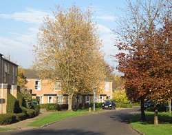 Photograph of Chapel Wood neighbourhood