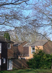 Photograph of Colt Stead neighbourhood