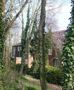 Photograph of Foxbury neighbourhood