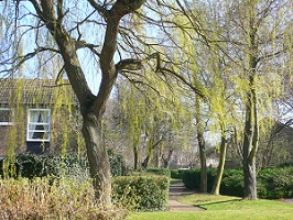 Photograph of Penenden neighbourhood