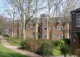 Photograph of Turners Oak flats