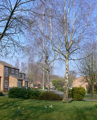 Photograph of Westfield neighbourhood