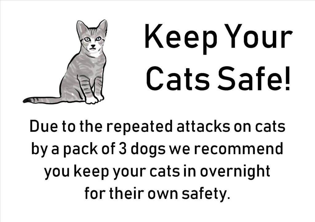 Keep Your Cats Safe New Ash Green